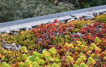 the cost of Limavady green roof installation