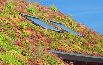 Limavady living roof systems